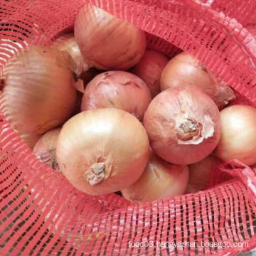 Good Quality of Chinese Fresh Yellow Onion (5-7cm)